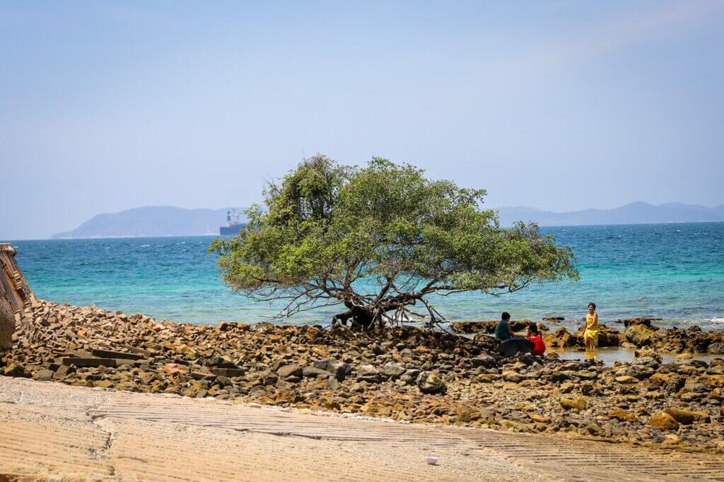 Wide with plenty of shady trees, perfect for picnics and also great activities : Tien Beach